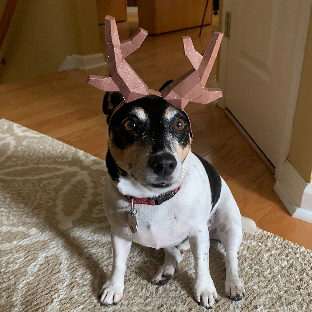 Reindeer Antler Headbands - DIY Low Poly Paper Model Template, Paper Craft