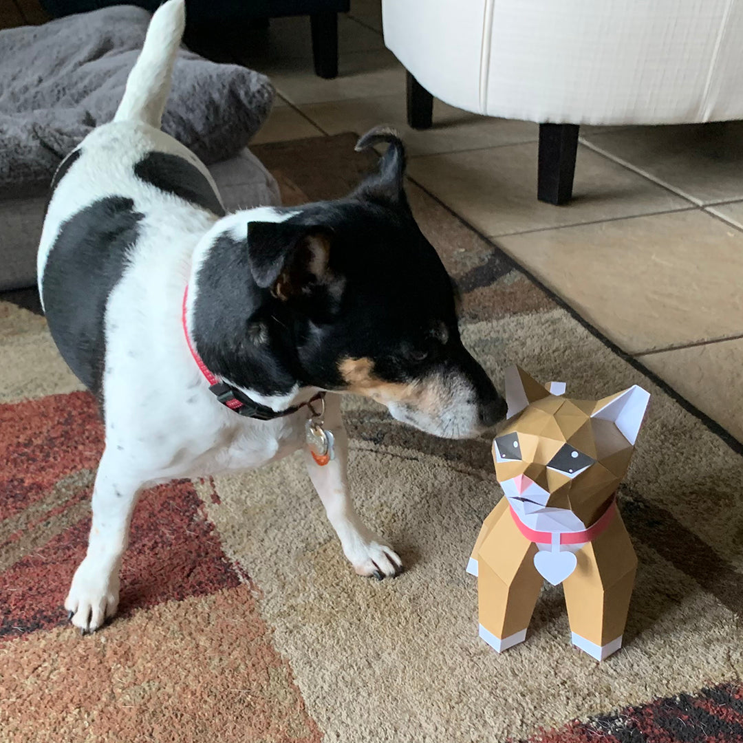 Villa Buddy - Kitten - DIY Low Poly Paper Model Template, Paper Craft