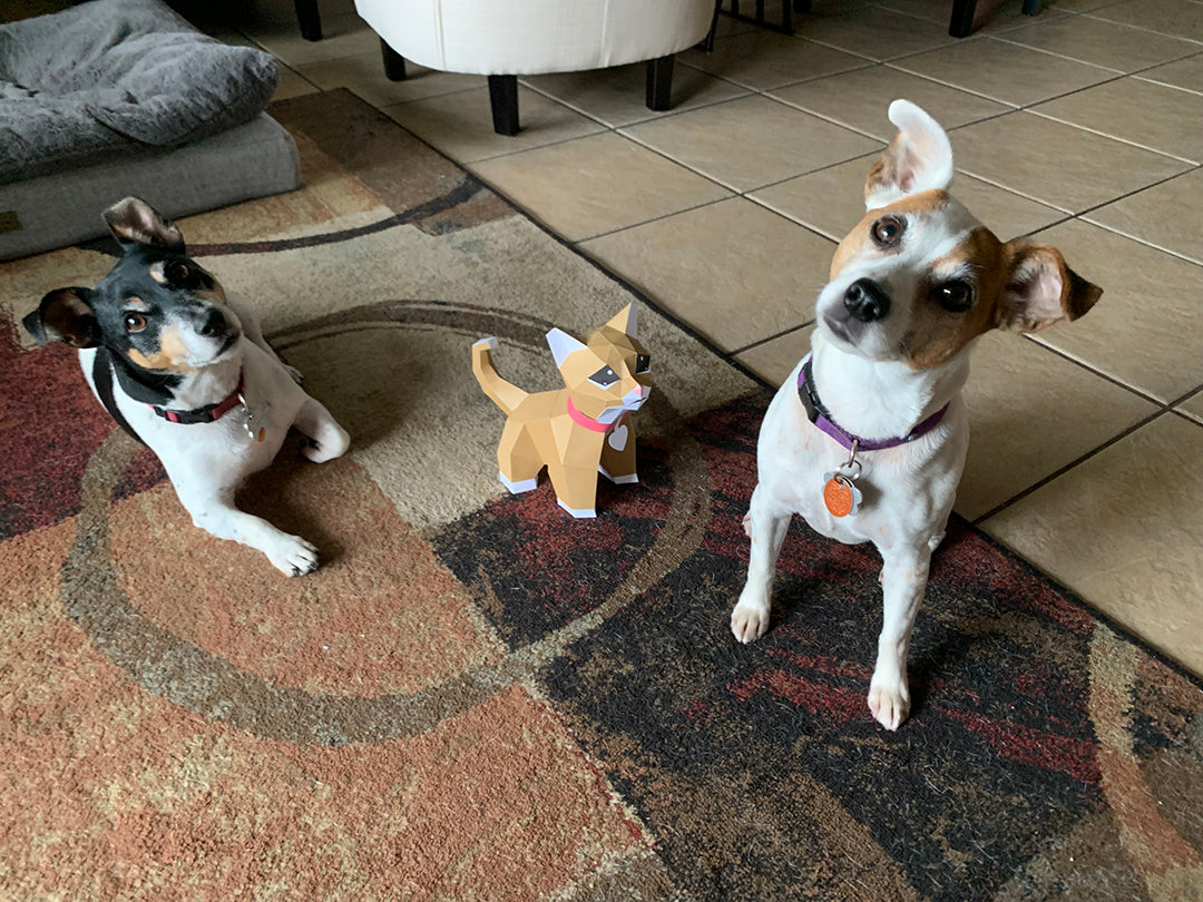 Villa Buddy - Kitten - DIY Low Poly Paper Model Template, Paper Craft