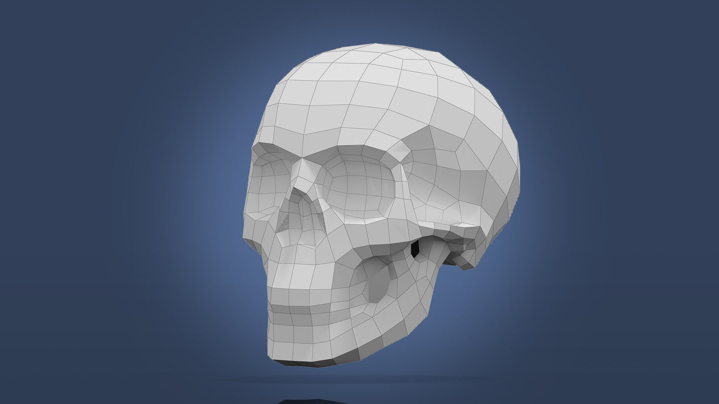 Human Skull Model DIY Low Poly Paper Model Template, Paper Craft