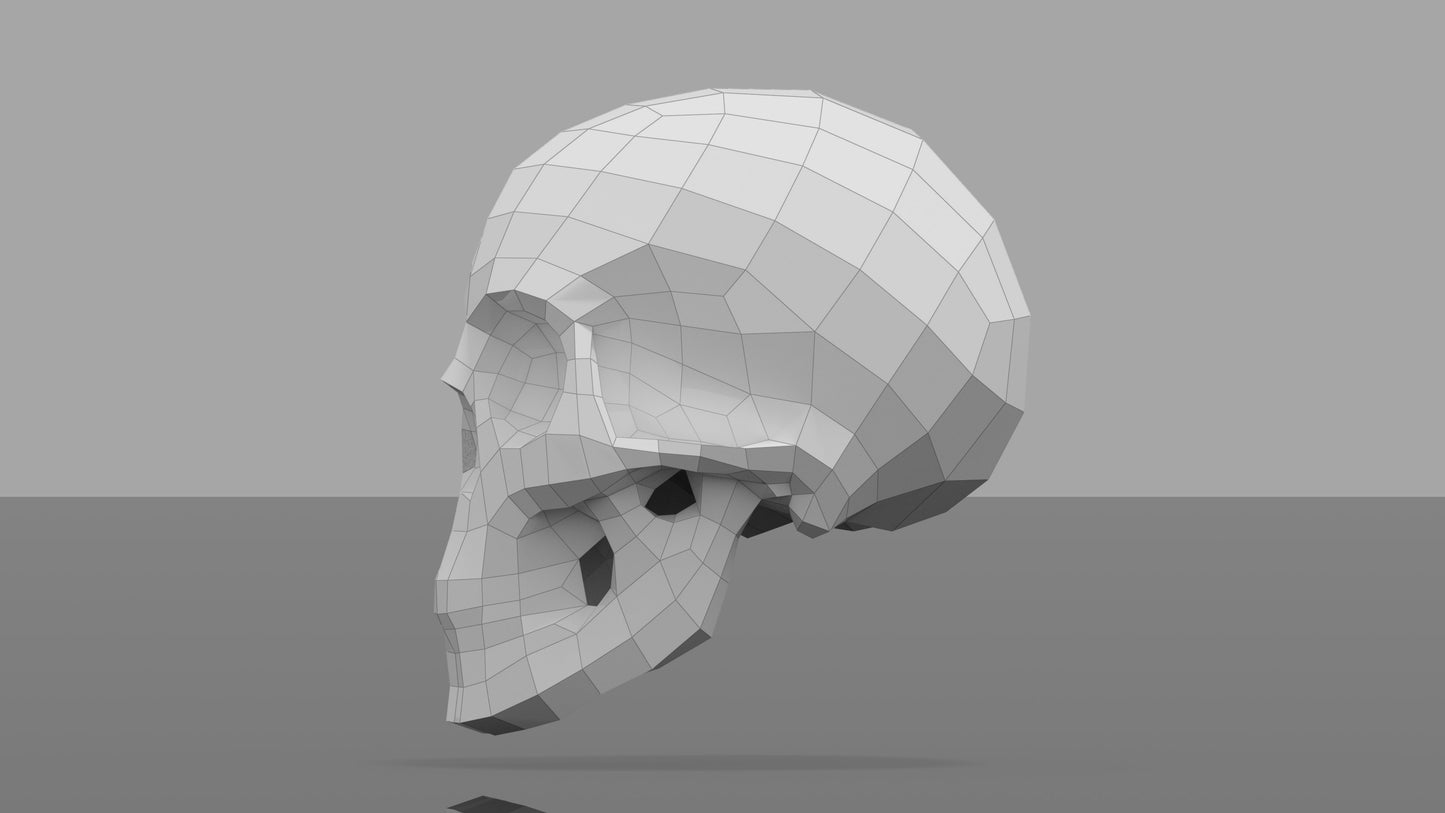 Human Skull Model DIY Low Poly Paper Model Template, Paper Craft